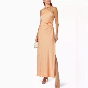 Misha Collection Ellison Gown - Color is Peach Fuzz